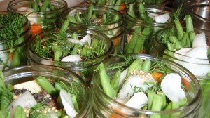 Absolutely gorgeous. The jars all stuffed and ready for the brine!