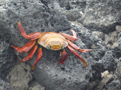 2014-06-01-16-32-05_smith