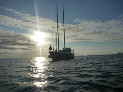 2014-06-01-18-11-30_orange-limux