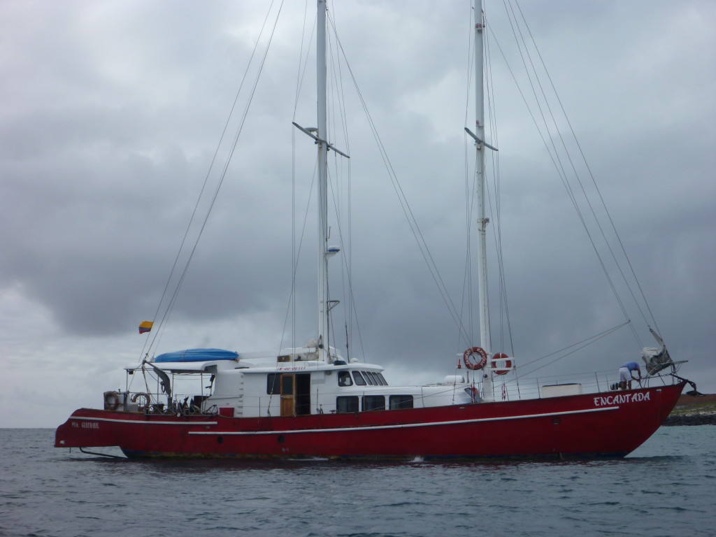 2014-06-02-10-08-20_orange-limux