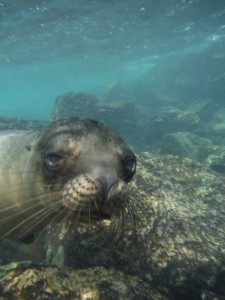 2014-06-02-15-46-49_smith